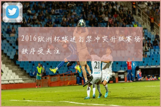 2016欧洲杯球迷打架冲突升级赛场秩序受关注