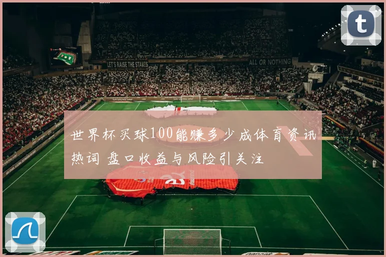 世界杯买球100能赚多少成体育资讯热词 盘口收益与风险引关注