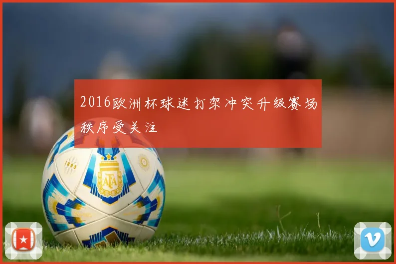 2016欧洲杯球迷打架冲突升级赛场秩序受关注