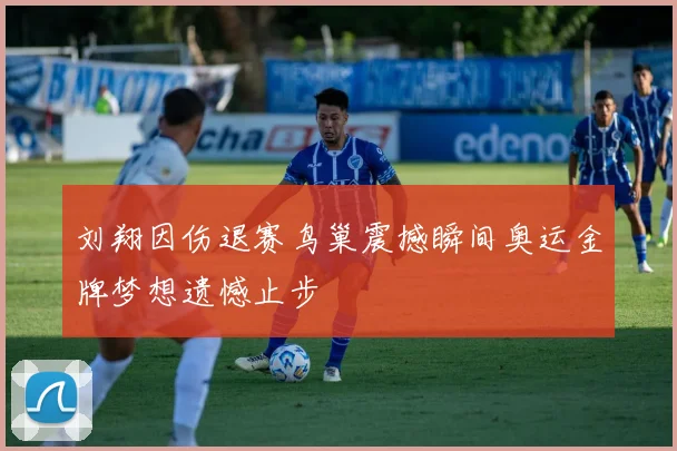刘翔因伤退赛鸟巢震撼瞬间奥运金牌梦想遗憾止步