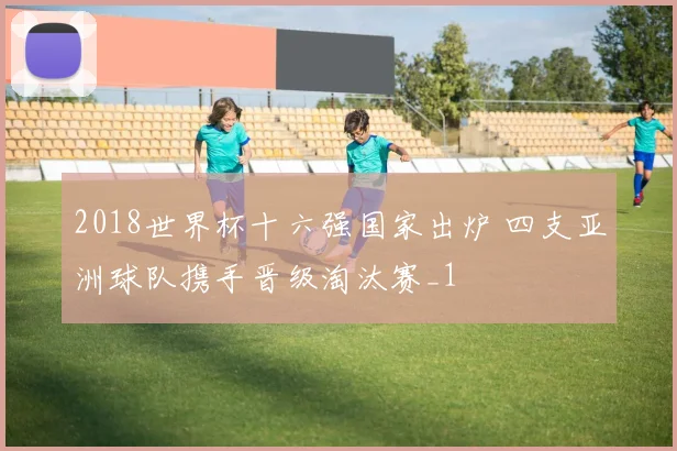 2018世界杯十六强国家出炉 四支亚洲球队携手晋级淘汰赛_1