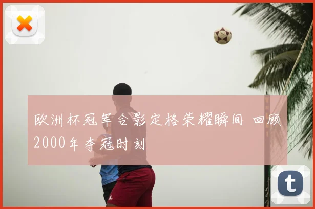 欧洲杯冠军合影定格荣耀瞬间 回顾2000年夺冠时刻