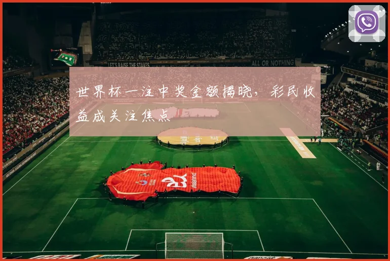 世界杯一注中奖金额揭晓,彩民收益成关注焦点