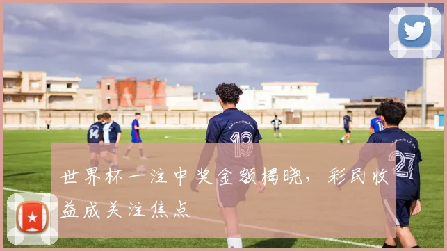 世界杯一注中奖金额揭晓,彩民收益成关注焦点