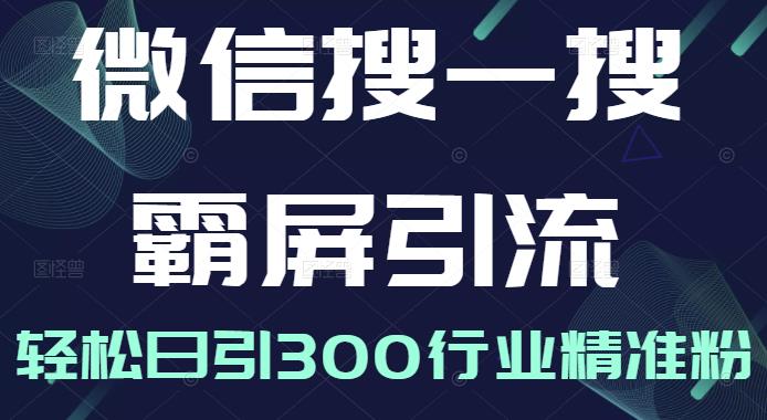 微信搜一搜霸屏引流课，打造被动精准引流系统，轻松日引300行业精准粉【无水印】-知墨网