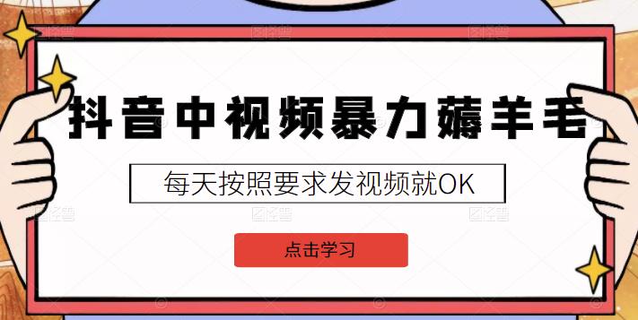 2022抖音中视频暴力薅羊毛白嫖项目：新号每天20块，老号几天几百块，可多号-知墨网