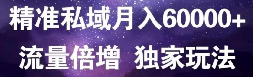 原力网赚精准私域月入60000+,流量倍增独家玩法-知墨网