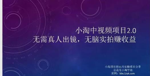 小淘项目组网赚永久会员，绝对是具有实操价值的，适合有项目做需要流程【持续更新】-知墨网