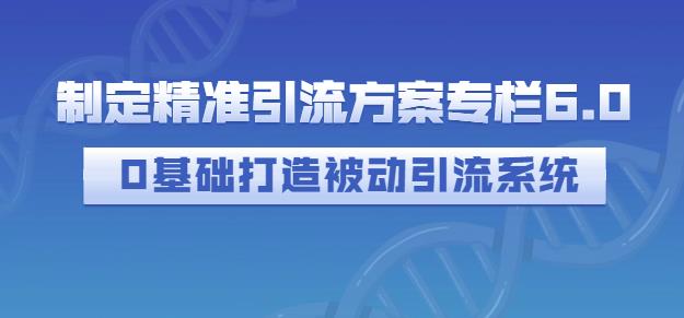 制定精准引流方案专栏6.0，0基础打造被动引流系统-知墨网