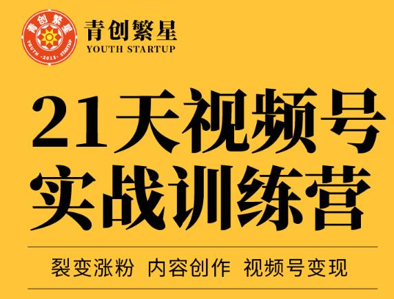 张萌21天视频号实战训练营，裂变涨粉、内容创作、视频号变现 价值298元-知墨网