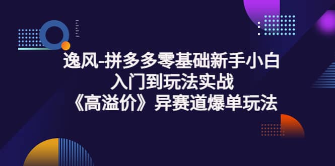 拼多多零基础新手小白入门到玩法实战《高溢价》异赛道爆单玩法实操课-知墨网