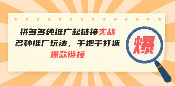 拼多多纯推广起链接实战：多种推广玩法，手把手打造爆款链接-知墨网