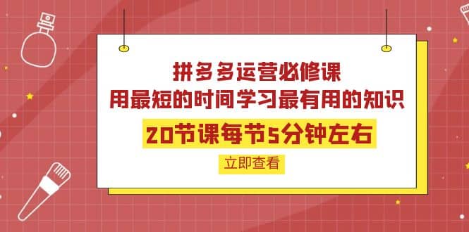 拼多多运营必修课：20节课每节5分钟左右，用最短的时间学习最有用的知识-知墨网