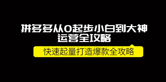 拼多多从0起步小白到大神运营全攻略-知墨网