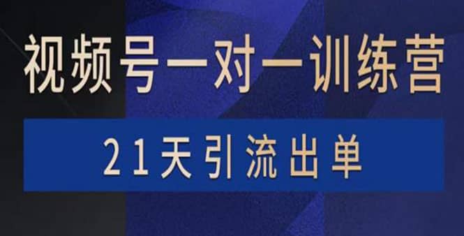 视频号训练营：带货，涨粉，直播，游戏，四大变现新方向，21天引流出单-知墨网