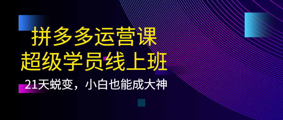 拼多多运营课：超级学员线上班，21天蜕变，小白也能成大神-知墨网