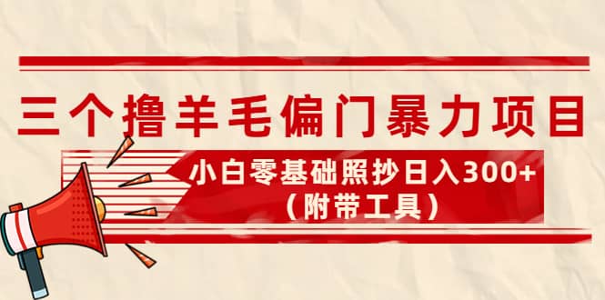 外面卖998的三个撸羊毛项目，小白零基础照抄（附带工具）-知墨网