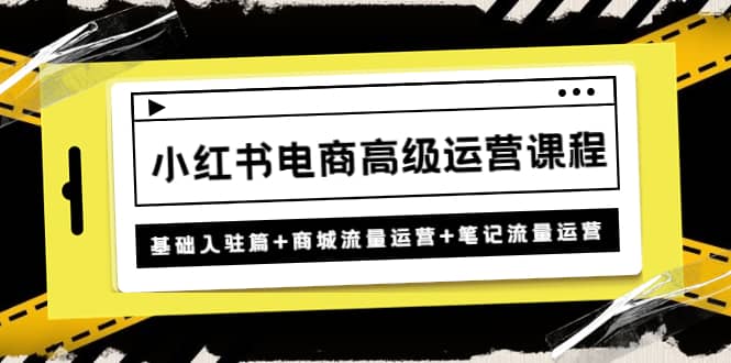 小红书电商高级运营课程：基础入驻篇+商城流量运营+笔记流量运营-知墨网