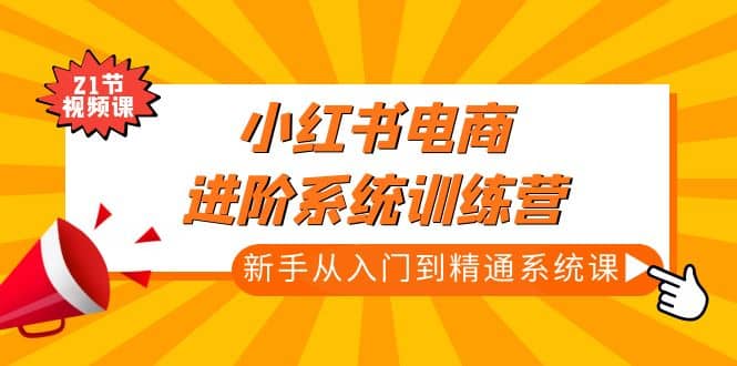 小红书电商进阶系统训练营：新手从入门到精通系统课（21节视频课）-知墨网