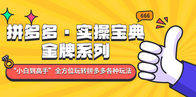 拼多多·实操宝典：金牌系列“小白到高手”带你全方位玩转拼多多各种玩法-知墨网