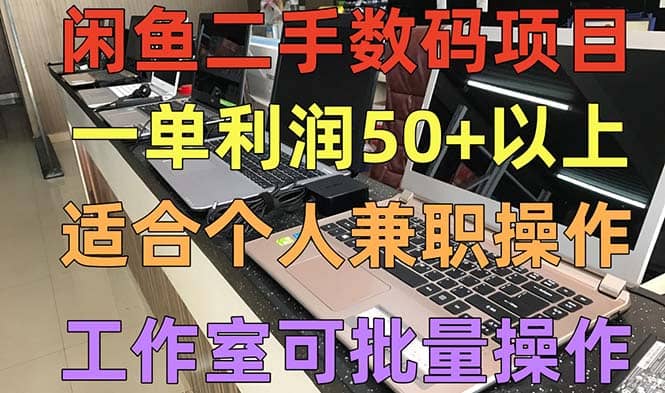 闲鱼二手数码项目，个人副业低保收入，工作室批量放大操作-知墨网