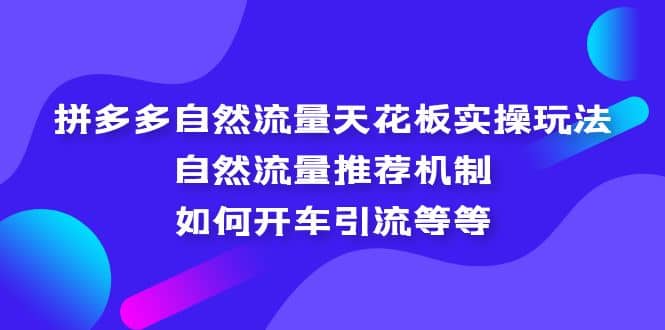 拼多多自然流量天花板实操玩法：自然流量推荐机制，如何开车引流等等-知墨网