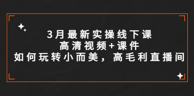 3月最新实操线下课高清视频 课件，如何玩转小而美，高毛利直播间-知墨网