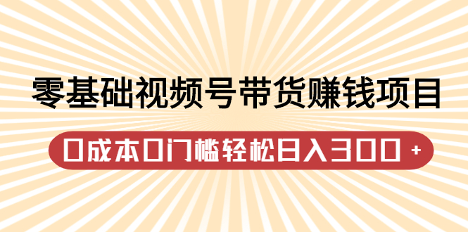 零基础视频号带货赚钱项目，0成本0门槛轻松日入300+【视频教程】-知墨网