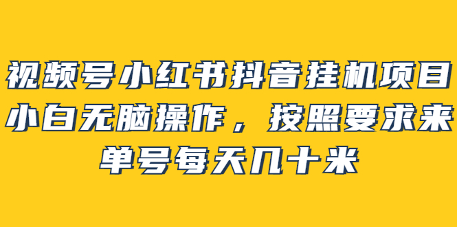 视频号小红书抖音挂机项目，小白无脑操作，按照要求来，单号每天几十米-知墨网