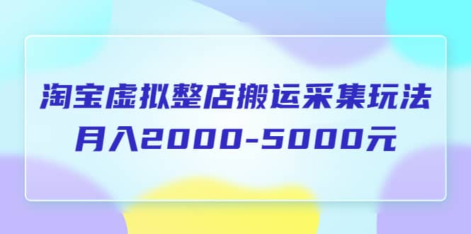 淘宝虚拟整店搬运采集玩法分享课：月入2000-5000元（5节课）-知墨网