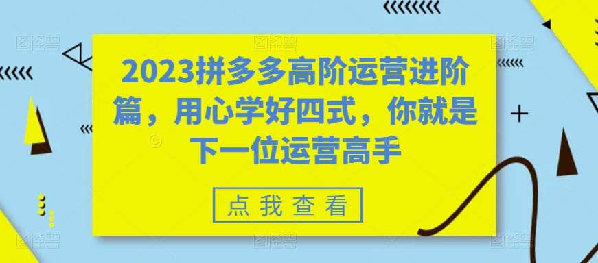 2023拼多多高阶运营进阶篇，用心学好四式，你就是下一位运营高手-知墨网