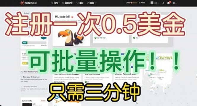 国外项目注册一次0.5美金 只需三分钟无脑操作 可批量放大 小白工作室福利-知墨网