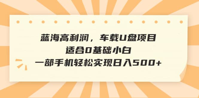 蓝海高利润，车载U盘项目，适合0基础小白，一部手机轻松实现日入500-知墨网