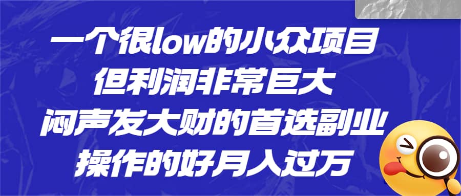 一个很low的小众项目，但利润非常巨大，闷声发大财的首选副业，月入过万-知墨网