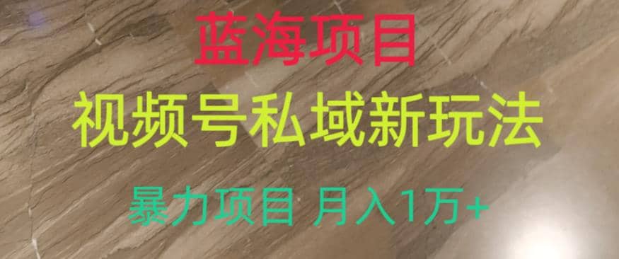 蓝海项目，视频号私域新玩法，暴力项目月入1万+【揭秘】-知墨网