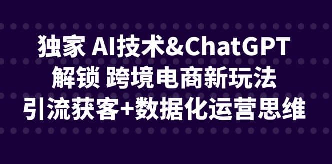 独家 AI技术ChatGPT解锁 跨境电商新玩法，引流获客+数据化运营思维-知墨网