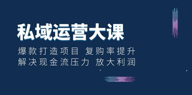 私域运营大课：爆款打造项目 复购率提升 解决现金流压力 放大利润-知墨网