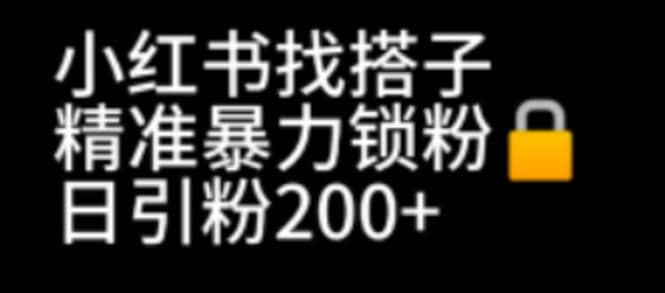 小红书找搭子暴力精准锁粉+引流日引200+精准粉-知墨网