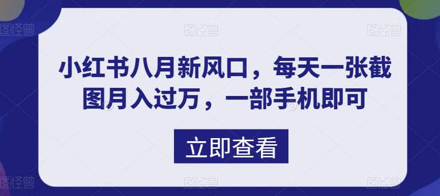 八月新风口，小红书虚拟项目一天收入1000 ，实战揭秘-知墨网