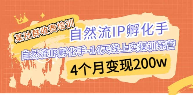 某社群收费培训：自然流IP 孵化手-14天线上实操训练营 4个月变现200w-知墨网