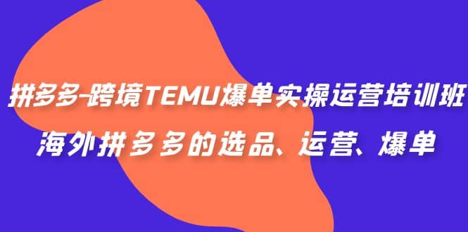 拼多多-跨境TEMU爆单实操运营培训班，海外拼多多的选品、运营、爆单-知墨网