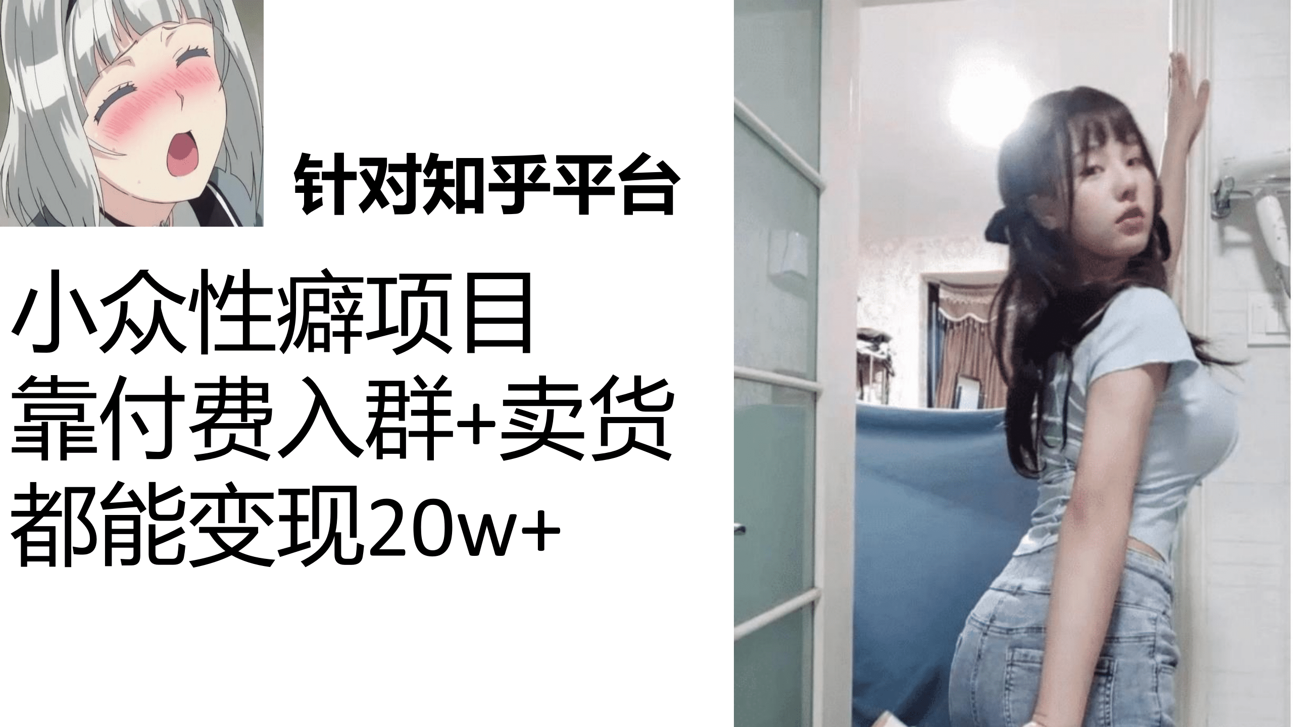 知乎小众性癖项目，Lsp的钱才是最好赚的，付费建群+卖货变现20w-知墨网