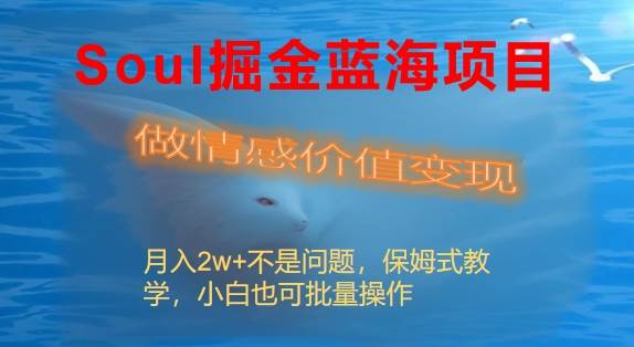 Soul掘金蓝海项目细分赛道，做情感价值变现，月入2w 不是问题-知墨网