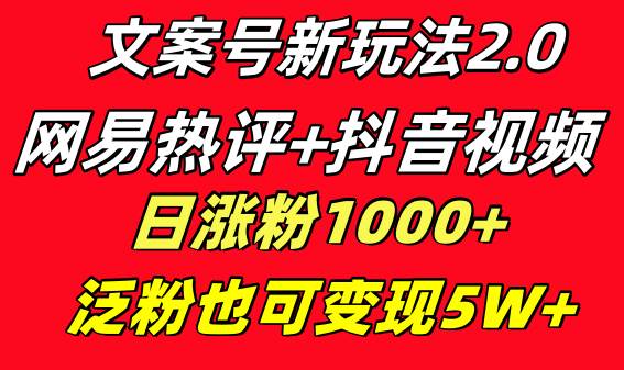 文案号新玩法 网易热评 抖音文案 一天涨粉1000 多种变现模式 泛粉也可变现-知墨网