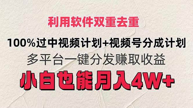 利用软件双重去重，100%过中视频+视频号分成计划小白也可以月入4W+-知墨网