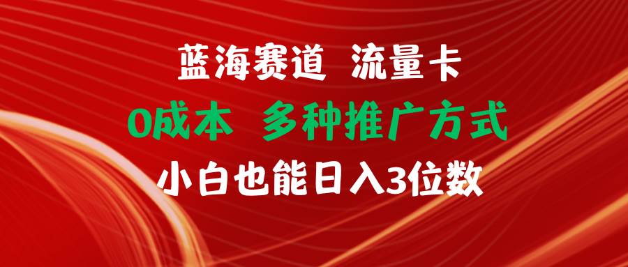 蓝海赛道 流量卡 0成本 小白也能日入三位数-知墨网