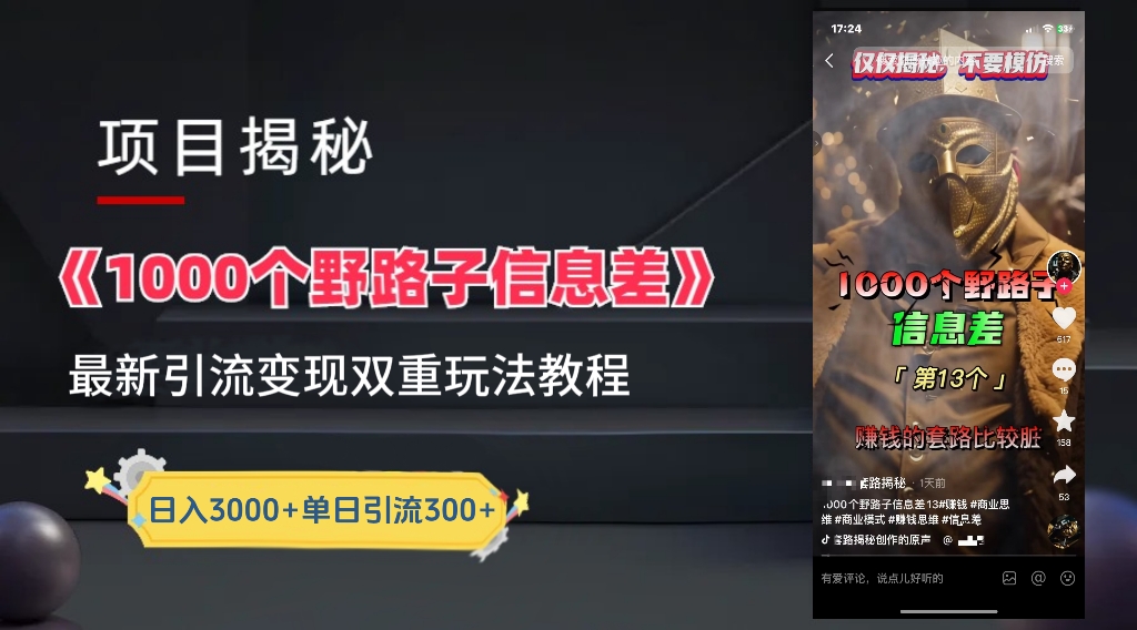 一千个野路子信息差24年最新玩法教程附带变现方法和引流的玩法具体拆解-知墨网