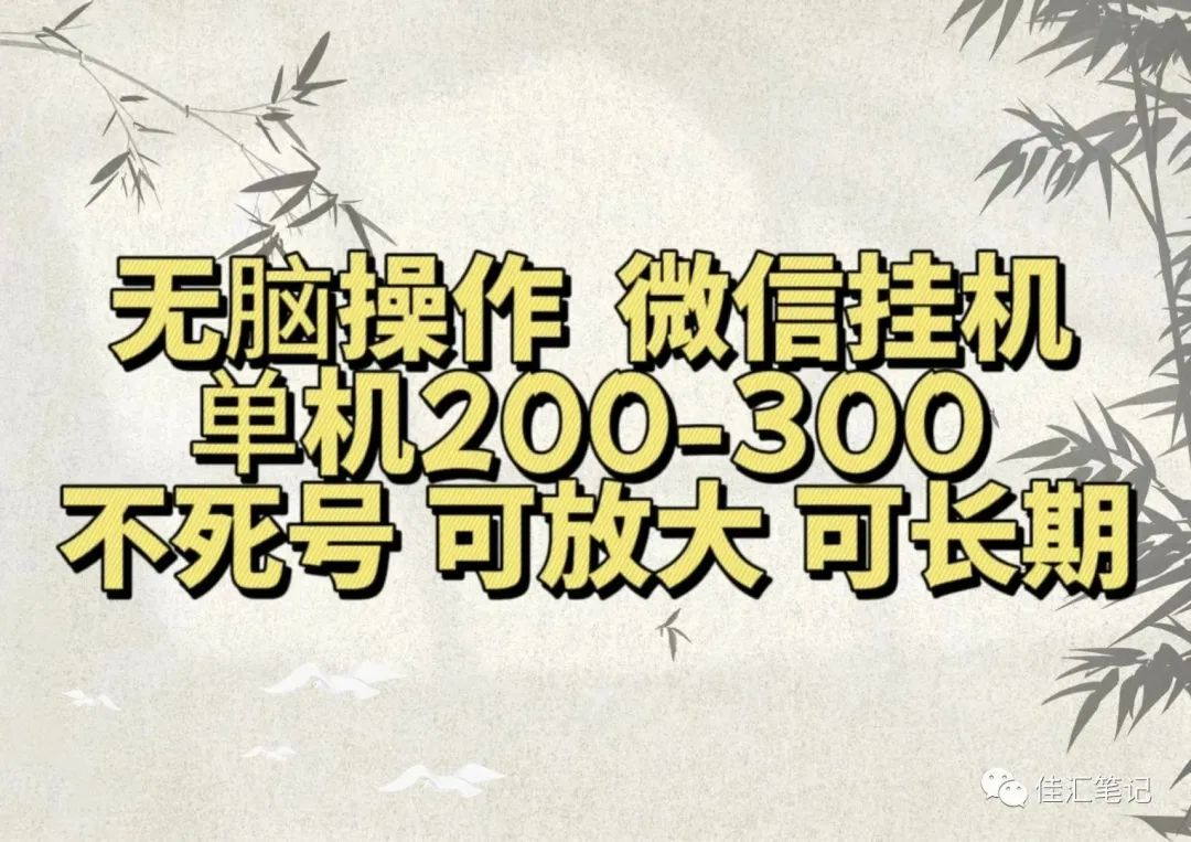 无脑操作微信视频号挂机单机200-300一天，不死号，可放大，工作室实测-知墨网