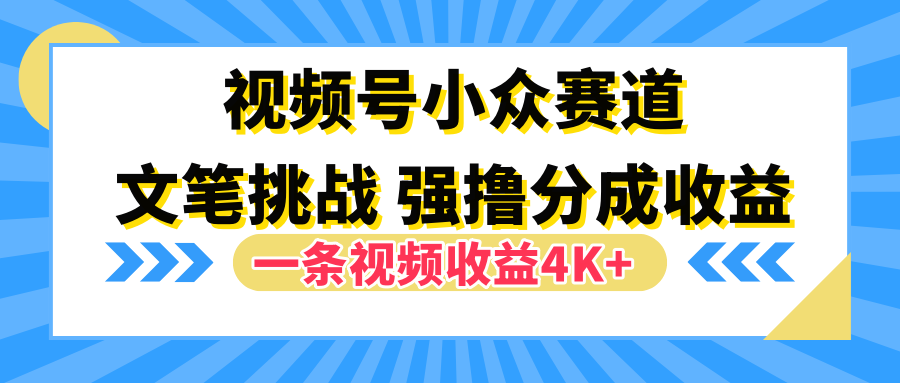 视频号小众赛道，文笔挑战，一条视频收益4K+-知墨网