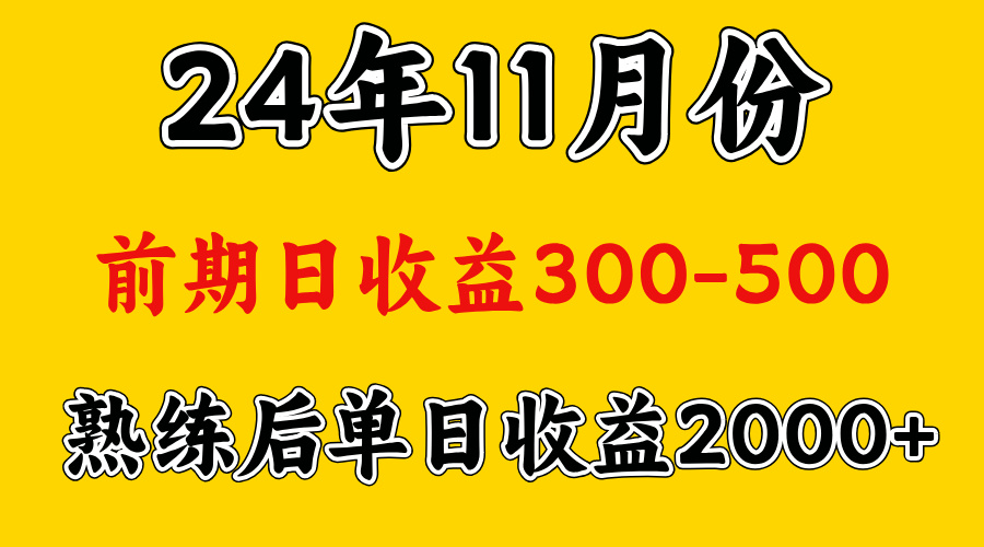 轻资产项目，前期日收益500左右，后期日收益1500-2000左右，多劳多得-知墨网